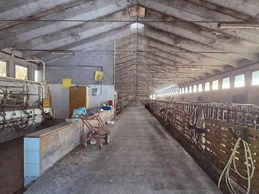 Immagine 7 di Casa indipendente in vendita  in Strada Bellini 1 a Cairo Montenotte