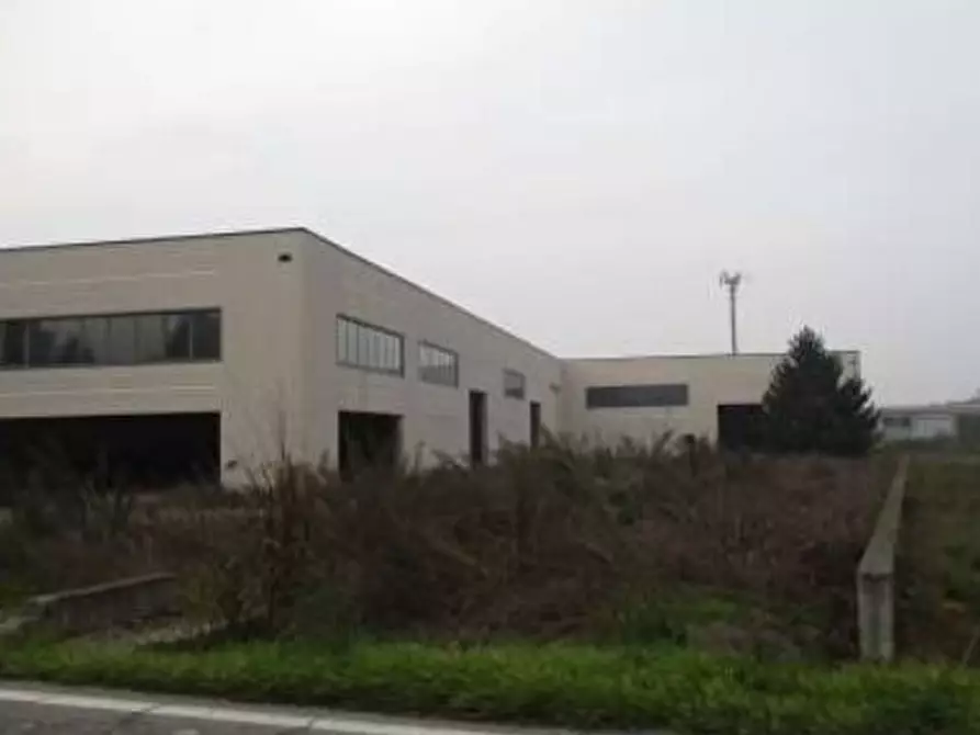 Immagine 5 di Attività artigianale in vendita  in Via San Lazzaro snc a Sale