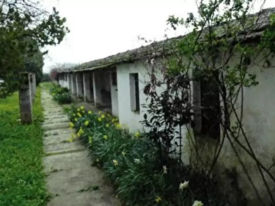 Immagine 10 di Villa in vendita  in Via Carlo Borra 6 a Alessandria