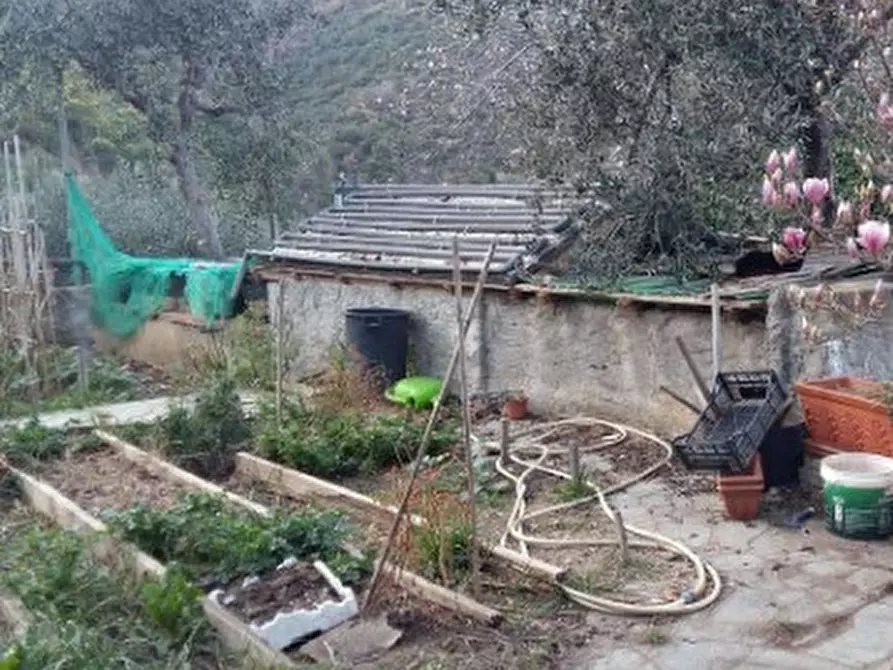 Immagine 7 di Villa in vendita  in Regione Pree snc a Taggia