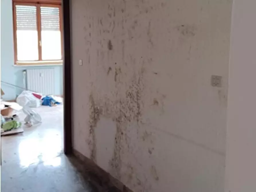 Immagine 5 di Pentalocale in vendita  in Via Vittorio Veneto 15 a Strevi