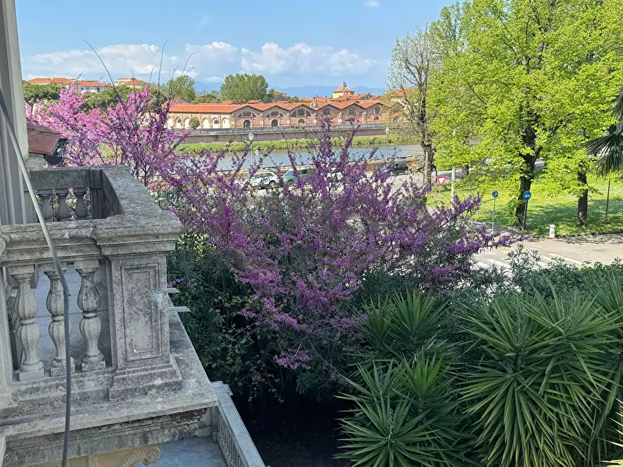Immagine 15 di Villa in vendita  in Piazza San Paolo Ripa D'Arno a Pisa