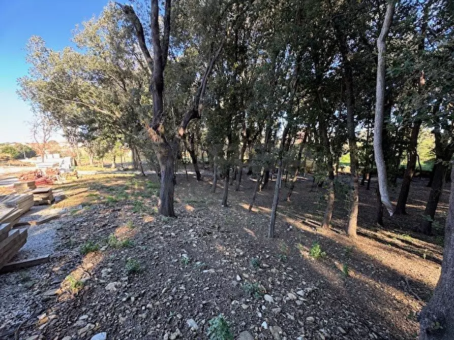 Immagine 5 di Terratetto in vendita  in Via Ombrosa 8 a Livorno