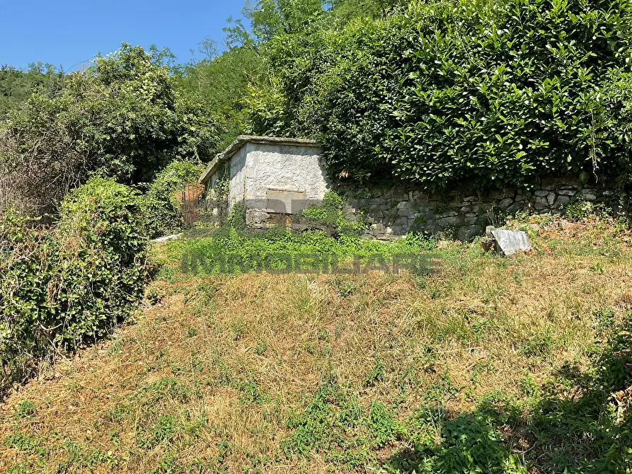 Immagine 52 di Rustico / casale in vendita  in via case geri e selvapiana a Pistoia