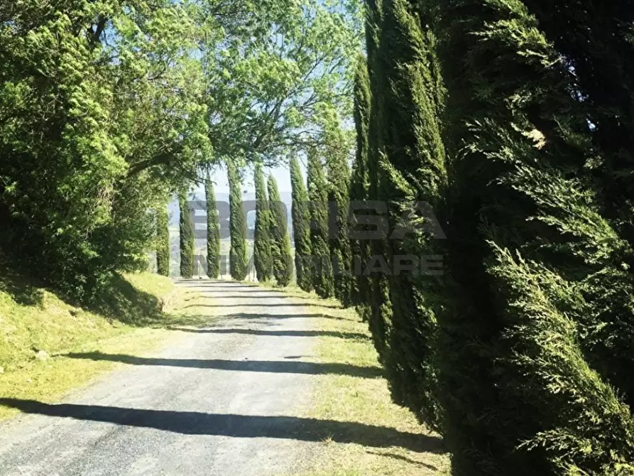 Immagine 4 di Terratetto in vendita  in via della camminata a Guardistallo