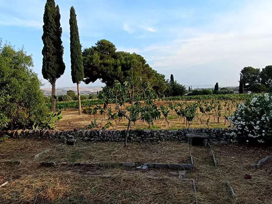 Immagine 40 di Villa in vendita  a Chiaramonte Gulfi