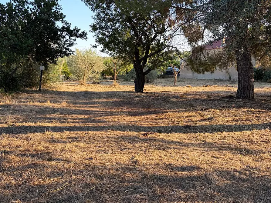 Immagine 18 di Villa in vendita  a Chiaramonte Gulfi
