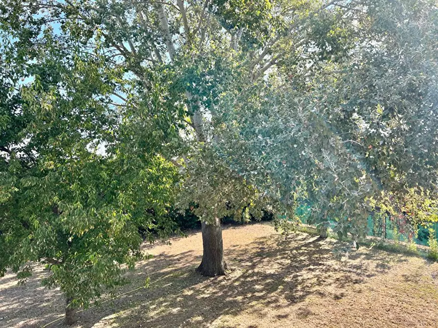 Immagine 40 di Villa in vendita  a Cesena