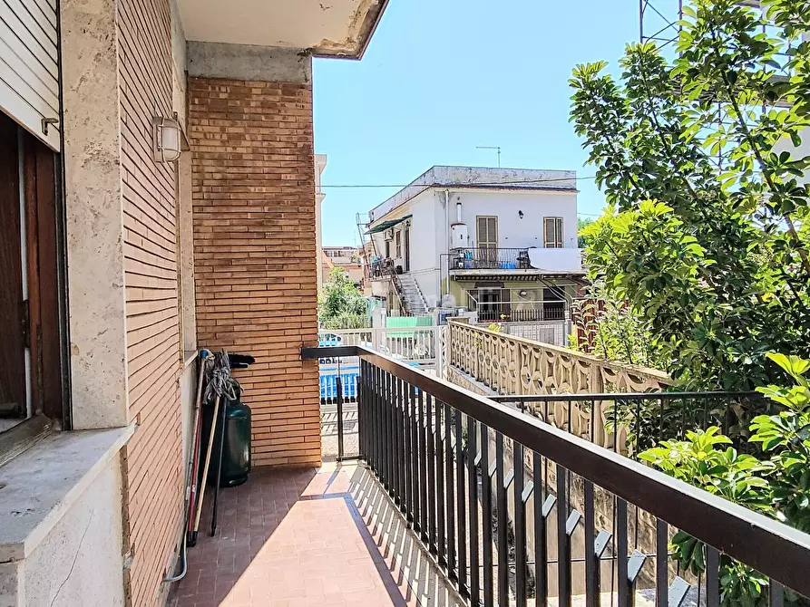 Immagine 8 di Bilocale in affitto  in Via dei Gerani 4 a Nettuno