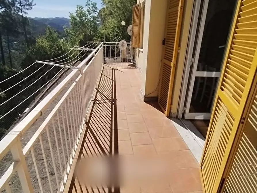 Immagine 29 di Villa in vendita  in Via Olivella Caminata 36 a Casarza Ligure