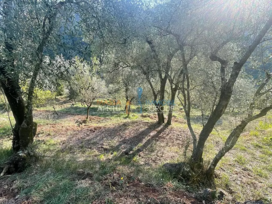 Immagine 52 di Casa indipendente in vendita  in Via San Vitale 7 a Massa