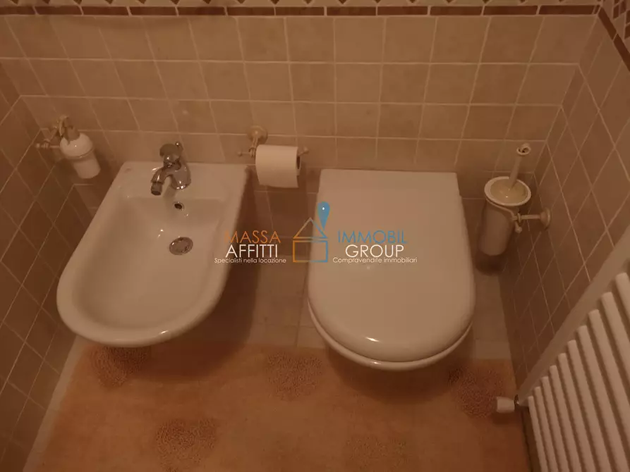 Immagine 34 di Pentalocale in affitto  in Via Foce 25 a Massa