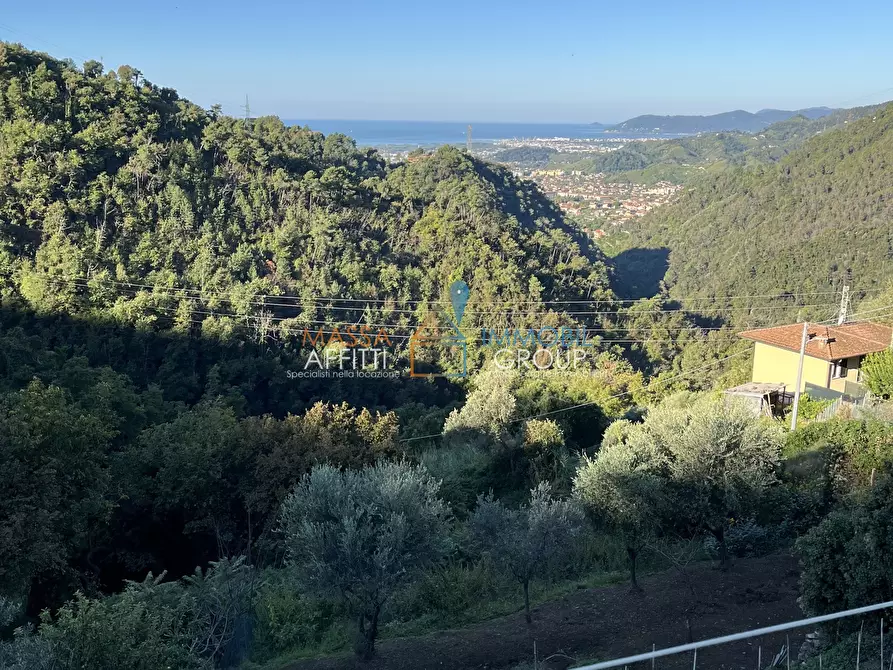 Immagine 2 di Terratetto in vendita  in via Gaspero Jacopetti 96 a Massa