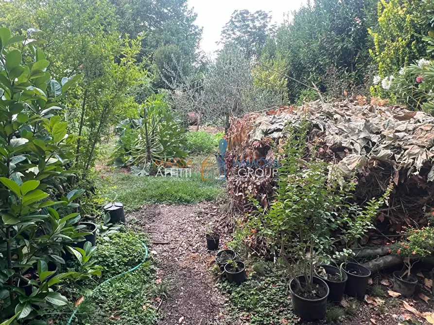 Immagine 9 di Attività artigianale in vendita  in Via Torretta 37 a Pietrasanta