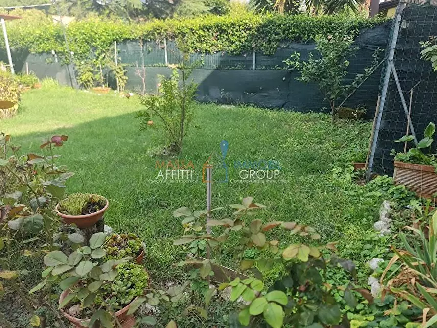 Immagine 20 di Terratetto in vendita  in Via Fiorino a Carrara