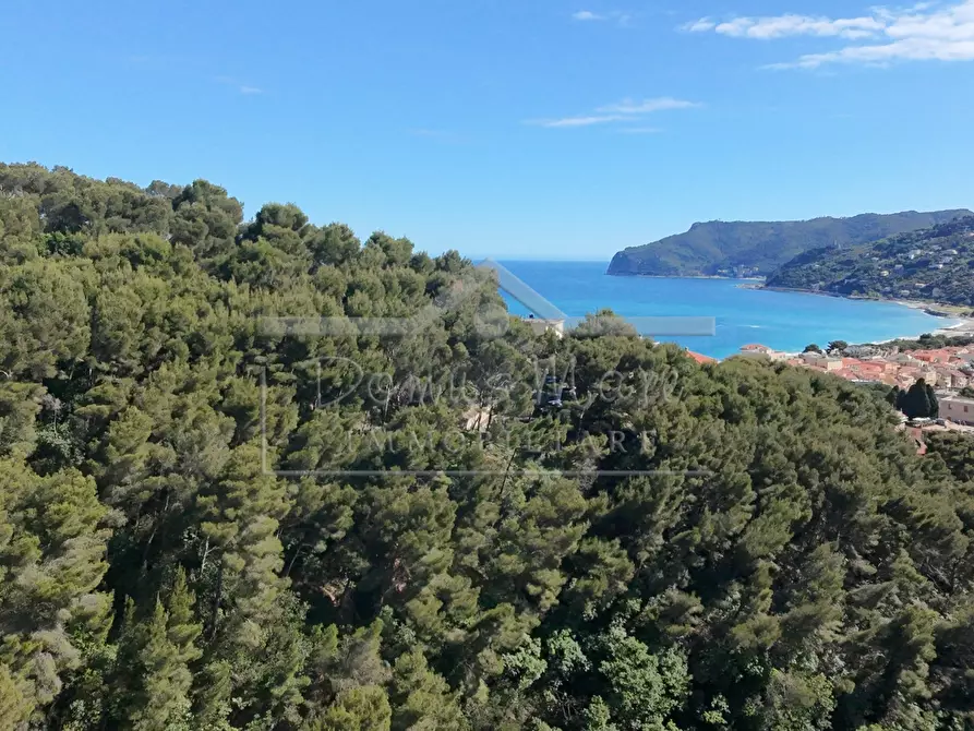 Immagine 44 di Villa in vendita  in Via Laiolo 50 a Spotorno