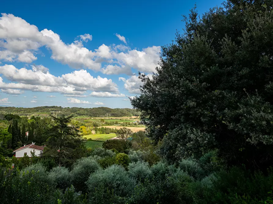 Immagine 7 di Villa in vendita  in Via Delle Corti a Collesalvetti