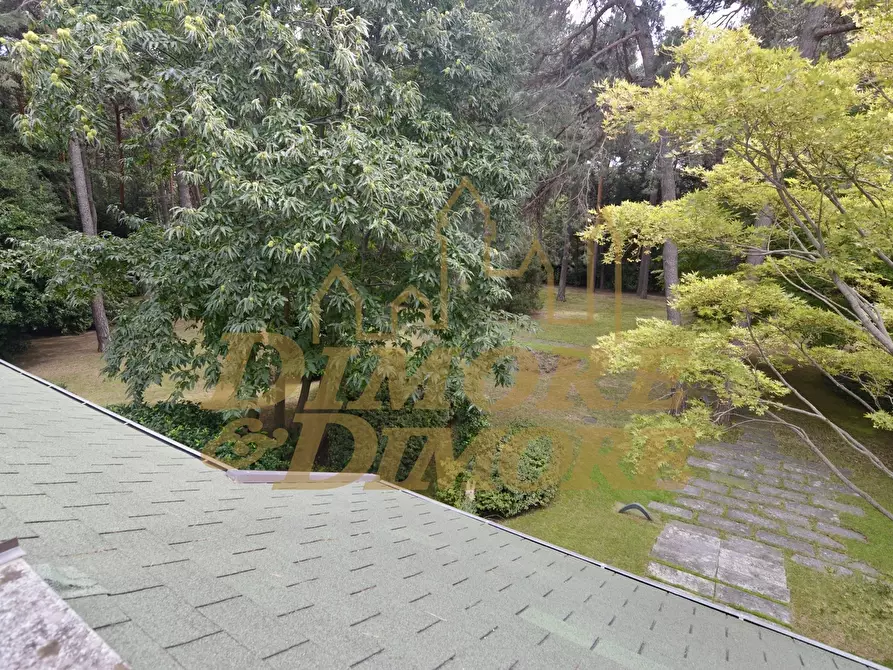 Immagine 48 di Villa in vendita  a Ranco