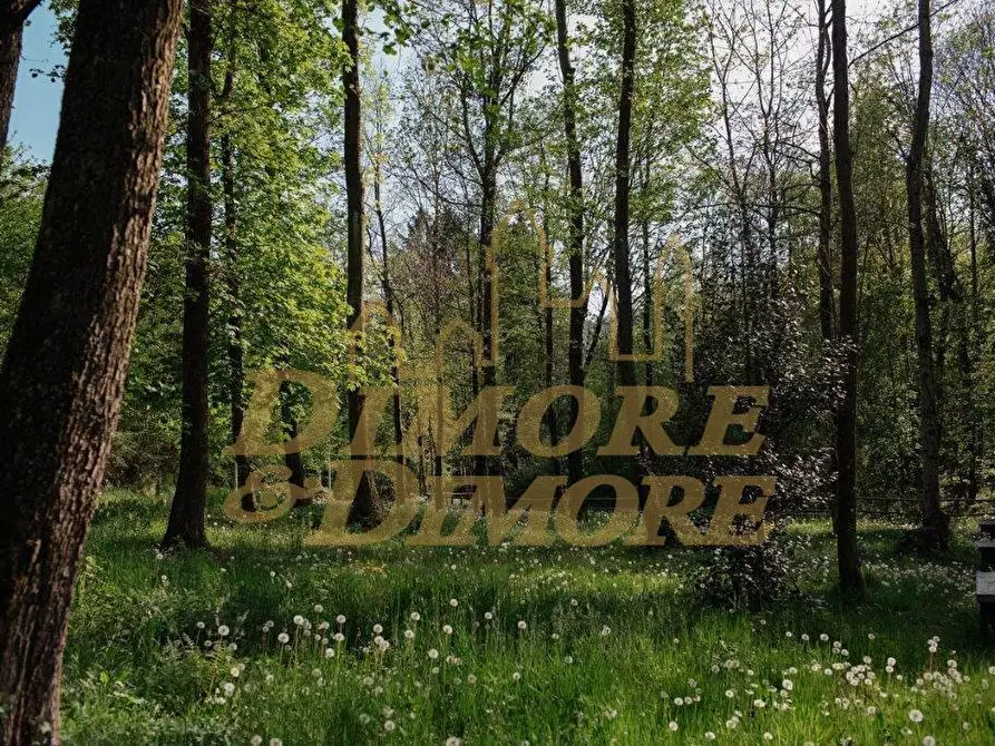 Immagine 4 di Bilocale in vendita  in Piazza Milano 8A a Colazza