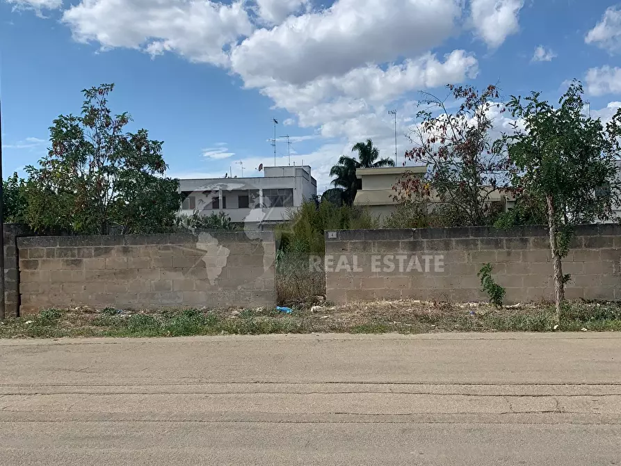 Immagine 6 di Terreno agricolo in vendita  in Via Monsignor Paladini 4 a Carmiano