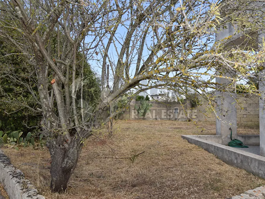 Immagine 25 di Villa in vendita  in Via Carlo Donat Cattin 63 a Specchia