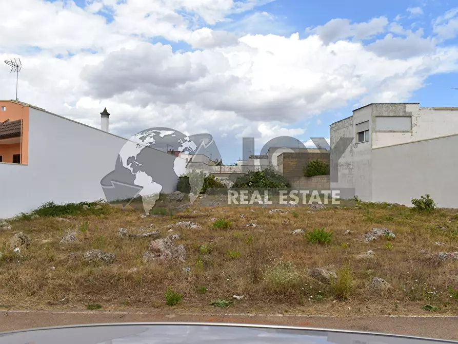 Immagine 3 di Terreno agricolo in vendita  in via morandi a San Donato Di Lecce