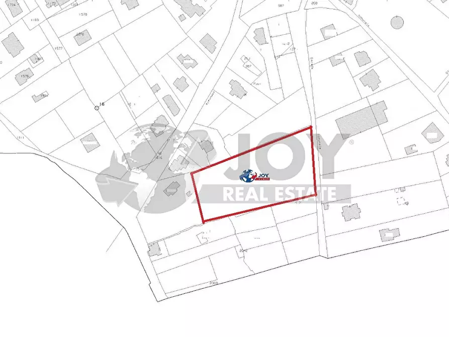 Immagine 5 di Terreno agricolo in vendita  in Via Carlo Donat Cattin 61 a Specchia