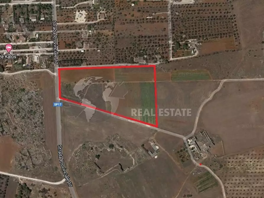 Immagine 5 di Terreno industriale in vendita  in Strada Provinciale 17 63 a Sannicola