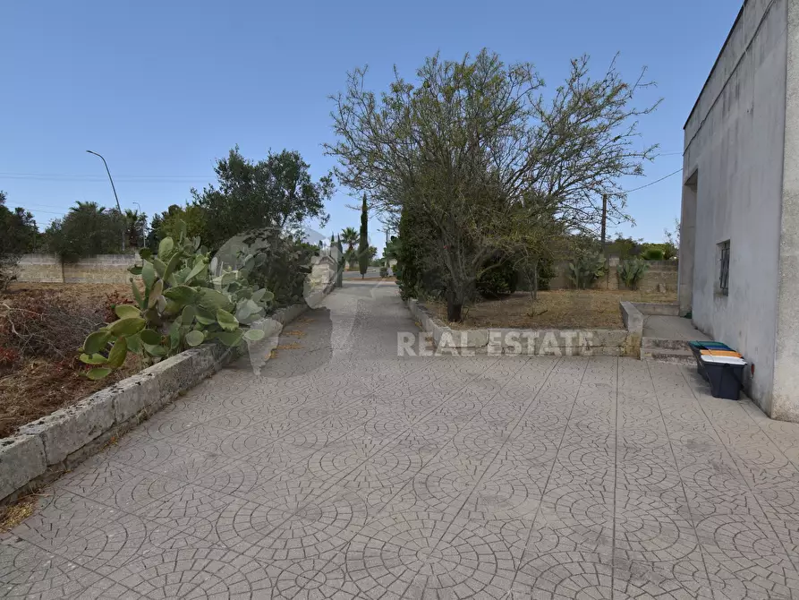 Immagine 26 di Villa in vendita  in Via Carlo Donat Cattin 63 a Specchia