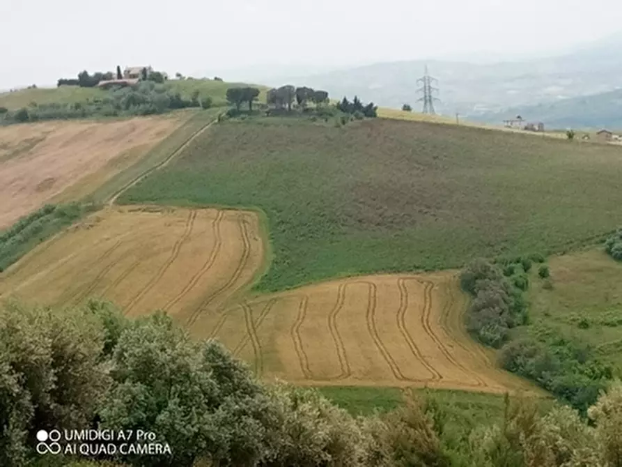 Immagine 8 di Terreno agricolo in vendita  in LOCALITA' CATOSCIO a Castel Frentano