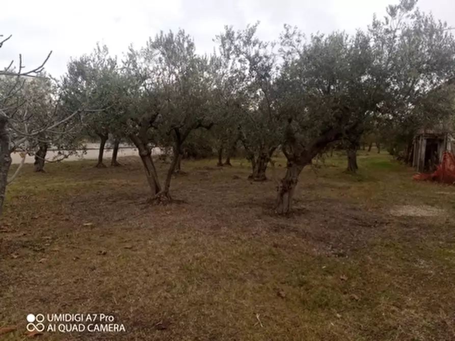 Immagine 4 di Rustico / casale in vendita  in VIA VECCHIA SCORCIOSA a Fossacesia