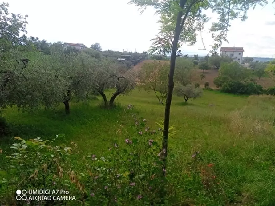 Immagine 1 di Terreno agricolo in vendita  in CONTRADA MARCIANESE a Lanciano