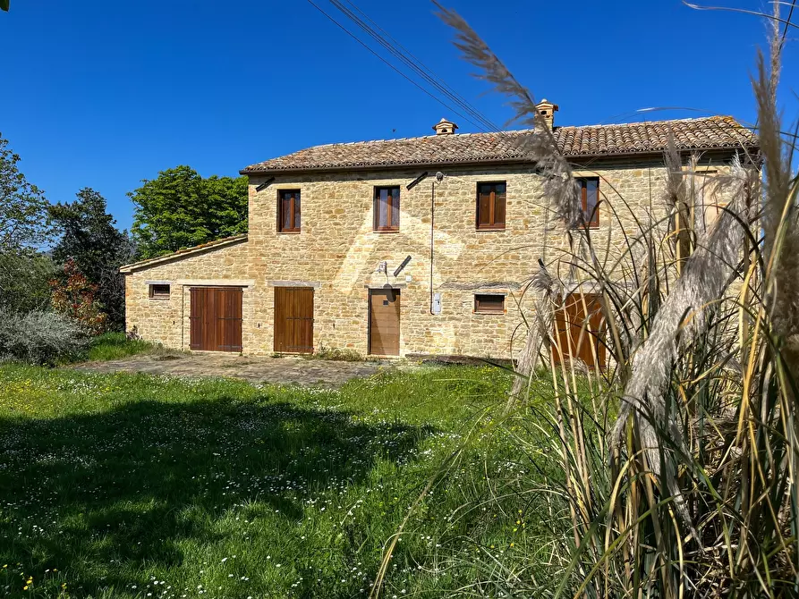 Immagine 10 di Rustico / casale in vendita  a Serra San Quirico