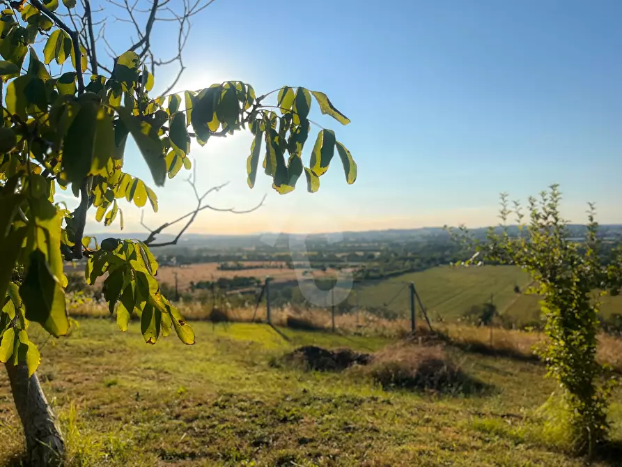 Immagine 4 di Rustico / casale in vendita  a Jesi