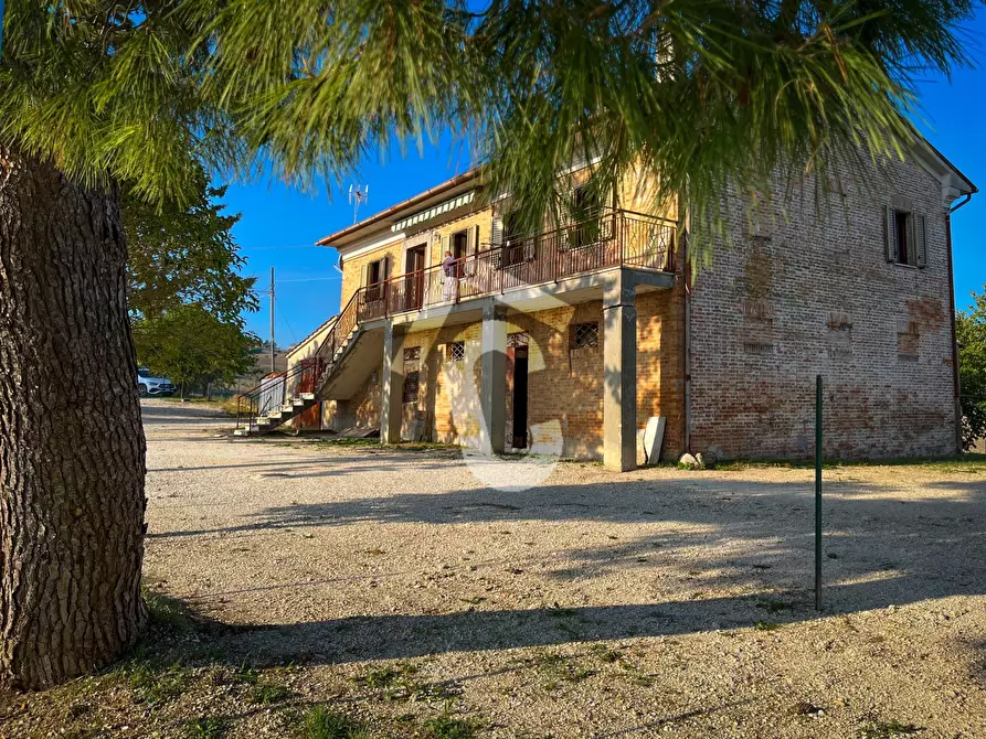 Immagine 1 di Rustico / casale in vendita  a Montecarotto