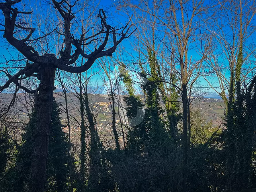 Immagine 5 di Appartamento in vendita  a Maiolati Spontini