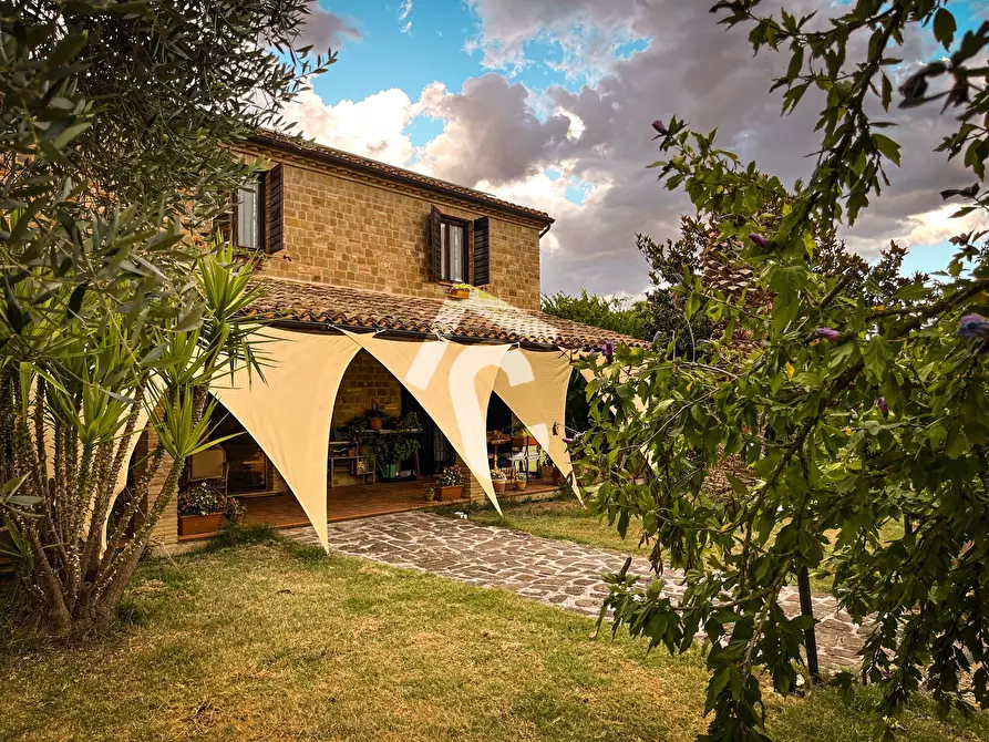 Immagine 1 di Rustico / casale in vendita  a Monte Roberto