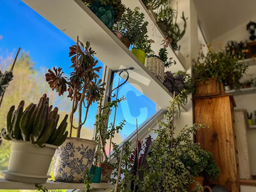 Immagine 12 di Rustico / casale in vendita  a Rosora