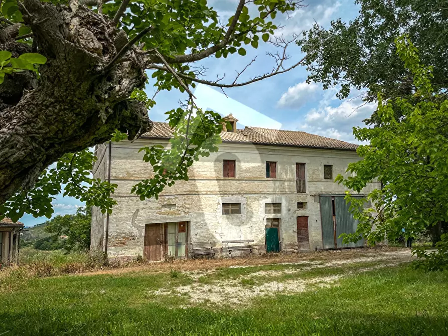 Immagine 47 di Rustico / casale in vendita  a Jesi