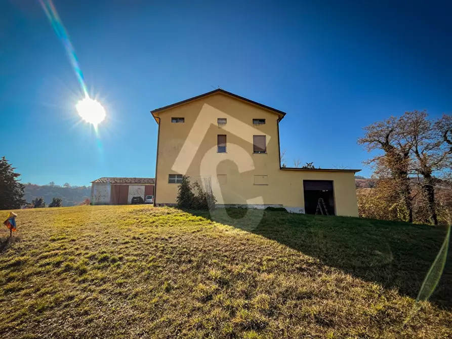 Immagine 12 di Rustico / casale in vendita  a Staffolo