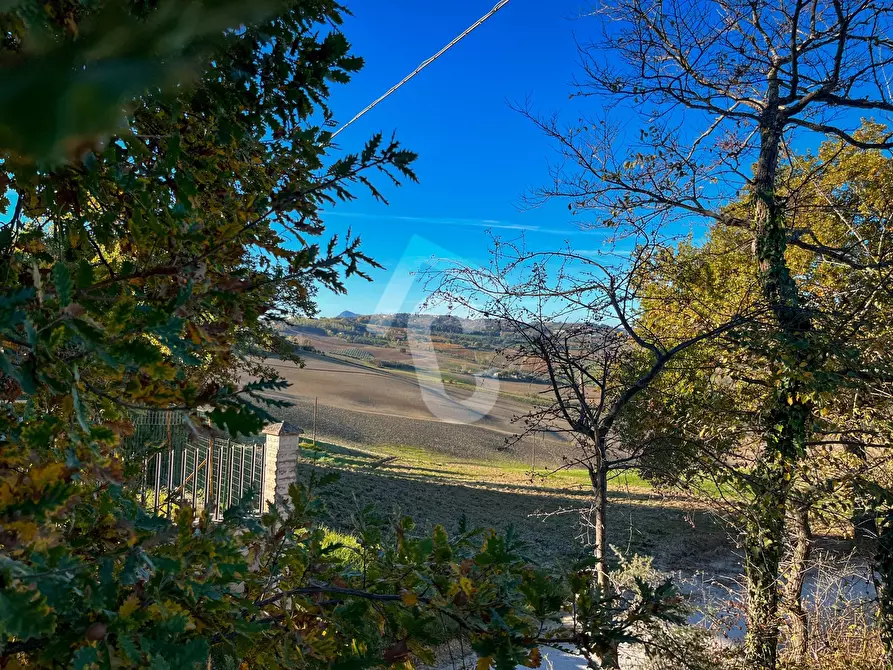 Immagine 6 di Casa indipendente in vendita  a Montecarotto
