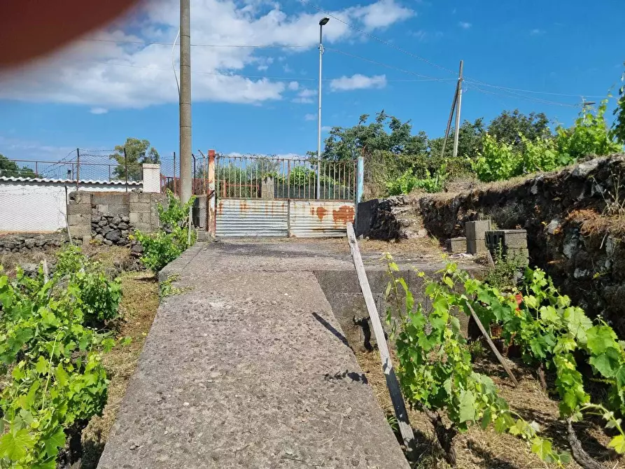 Immagine 20 di Terreno agricolo in vendita  a Tremestieri Etneo