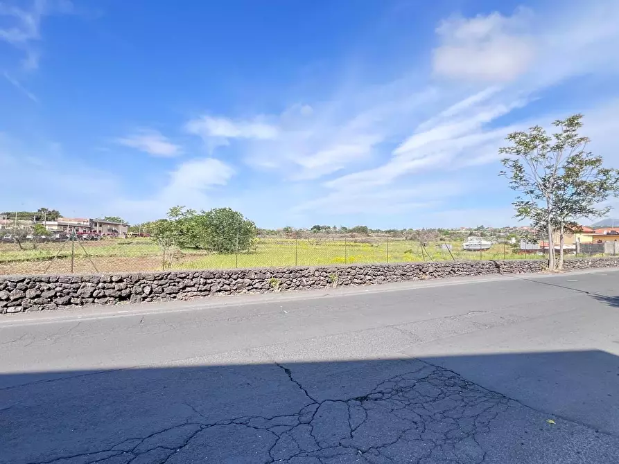 Immagine 3 di Terreno agricolo in vendita  a Tremestieri Etneo