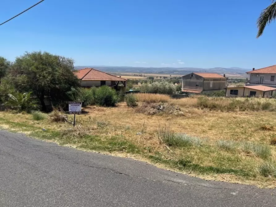 Immagine 4 di Terreno agricolo in vendita  a Lentini