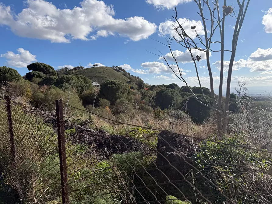 Immagine 3 di Terreno agricolo in vendita  a Nicolosi
