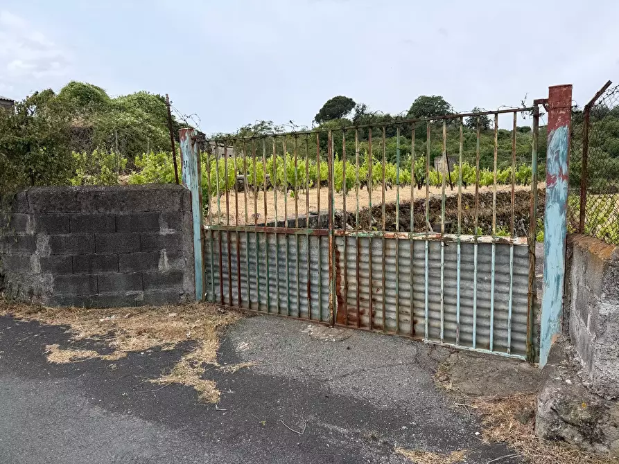 Immagine 2 di Terreno agricolo in vendita  a Tremestieri Etneo