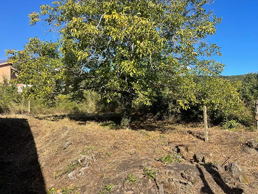 Immagine 42 di Villa in vendita  a Zafferana Etnea