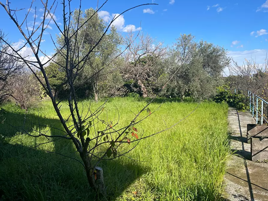 Immagine 6 di Villa in vendita  a Tremestieri Etneo