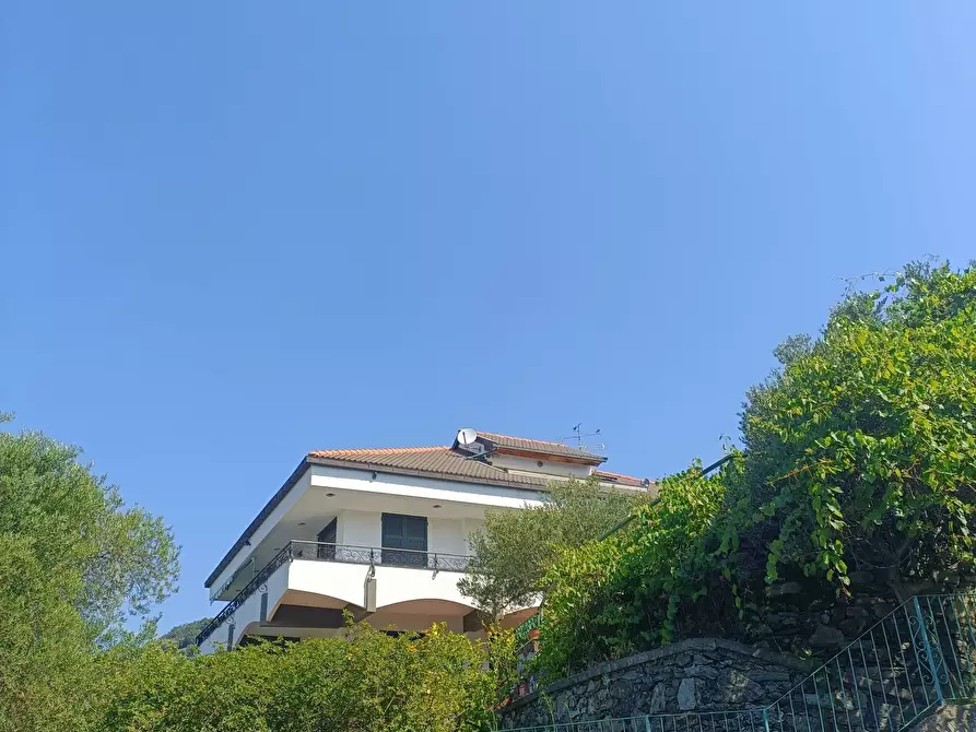 Immagine 2 di Villa in vendita  in Via Livio Canale 72 a Varazze