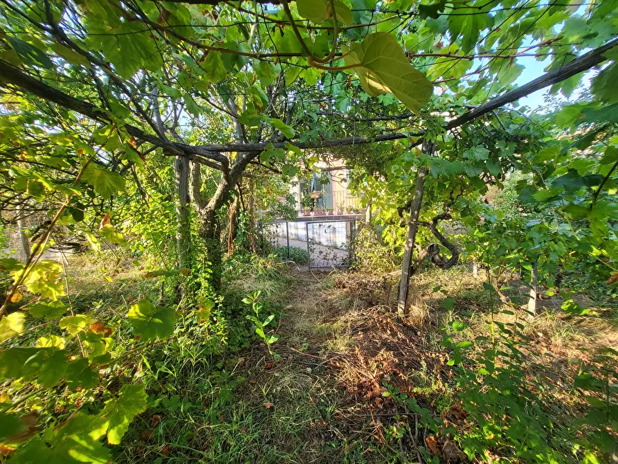 Immagine 109 di Casa indipendente in vendita  in Via Giotto 22 a Acri